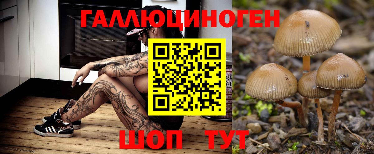 Гусиноозёрск  Галлюциногенные грибы GOLDEN TEACHER  Псилоцибиновые грибы GOLDEN TEACHER  Вход с VPN 