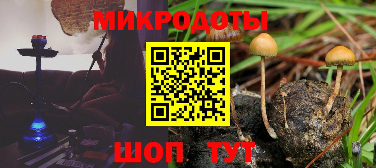 Псилоцибиновые грибы Magic Shrooms Гусиноозёрск
